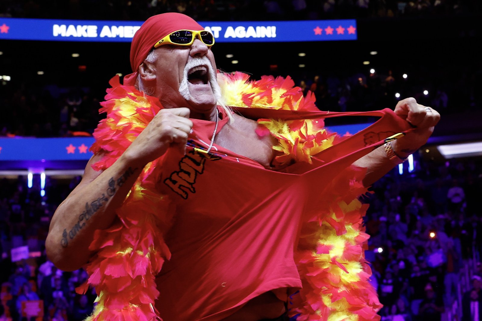 Hulk Hogan Horrendously Booed in WWE Return
