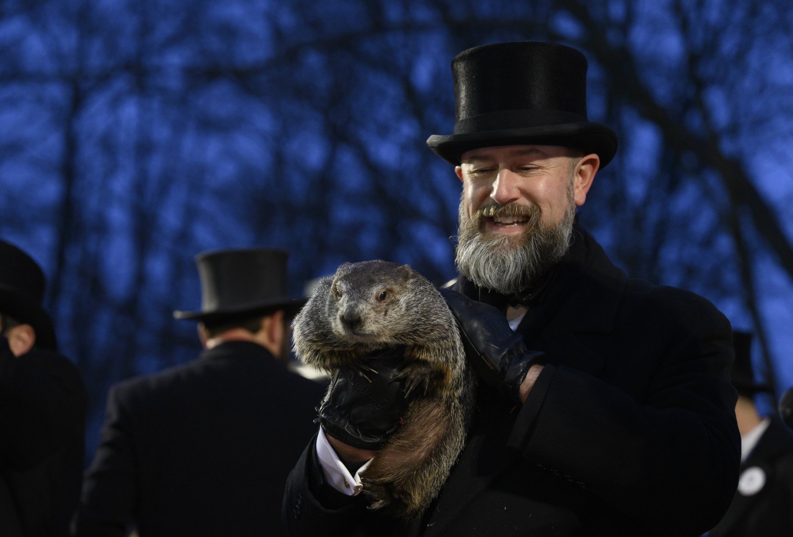 How to Livestream a Groundhog Today as He Predicts a Longer Winter or an Early Spring